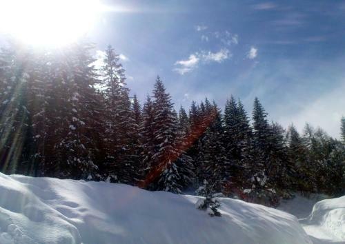 Alpenhotel Marcius