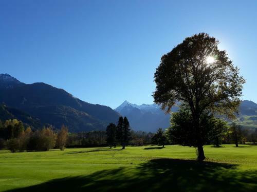 Ski & Golf Apartment Zell Am See