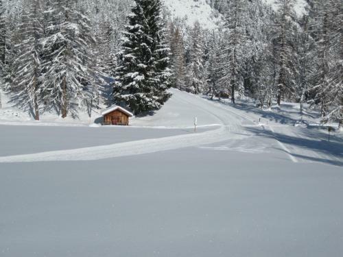 Apartamento Haus Hahnenhof