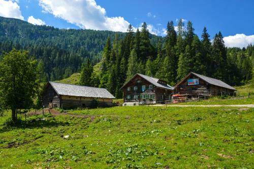 Apartamento Schmiedlehenalm