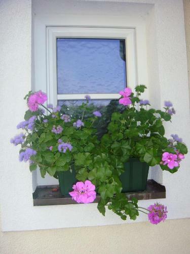 Apartamento Ferienwohnungen Steger