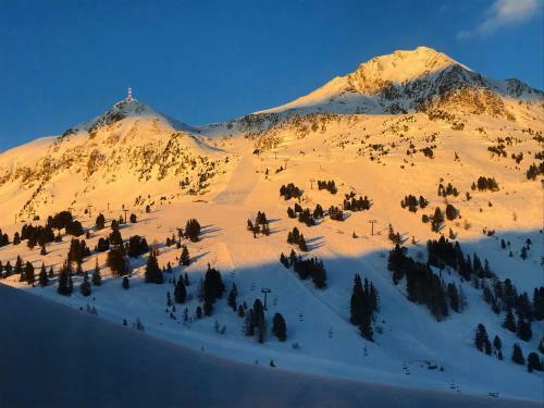 Andi's Skihotel