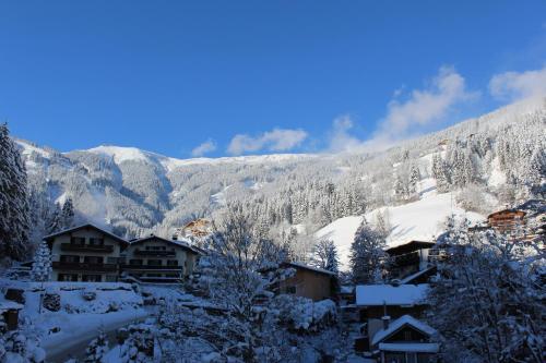 Apartamento Schmitten 62