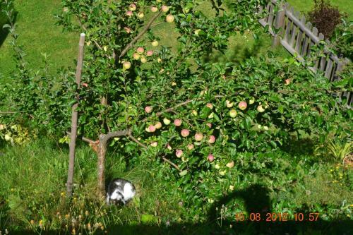 Apartamento Appartement Ewald Siller