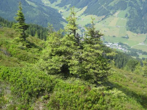 Apartamento Appartement Lindner Hannes
