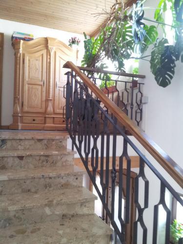 Apartamento Appartement Fischer