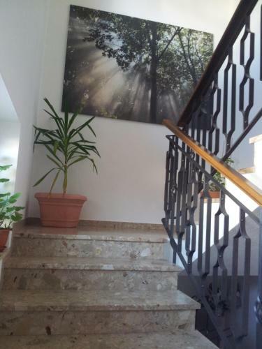 Apartamento Appartement Fischer