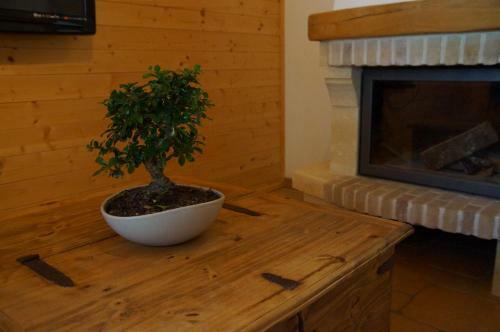 W & S Executive Apartments - Hallstatt II