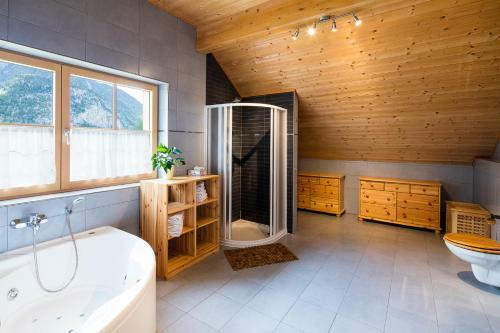 W & S Executive Apartments - Hallstatt II