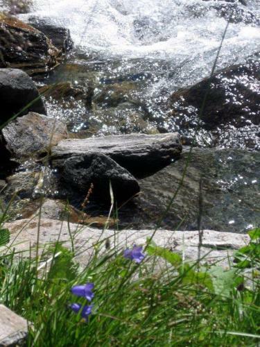 Apartamento Landhaus Tirol