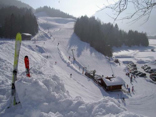 Apart-alpin