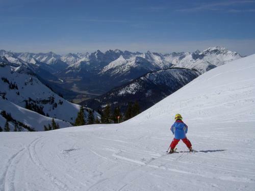 Apart-alpin