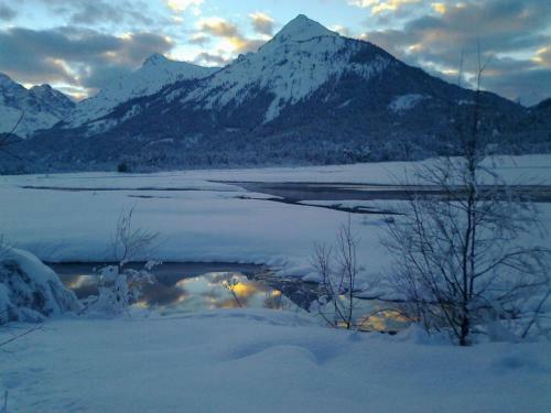 Apart-alpin