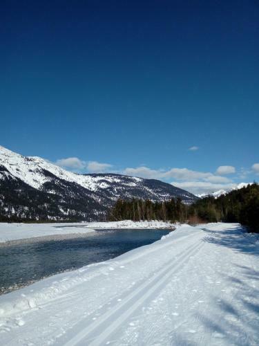 Apart-alpin