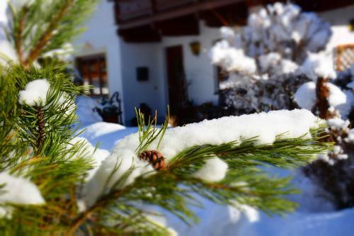 Hostal Haus Tirolerland