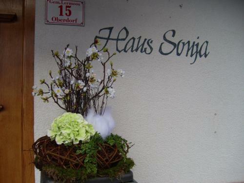 Apartamento Haus Sonja