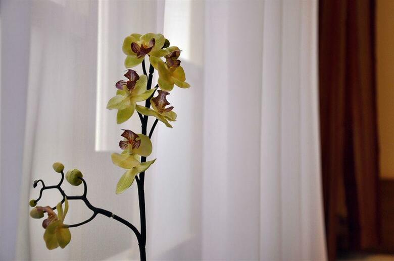 Bed & Breakfast City Pension Stephansplatz