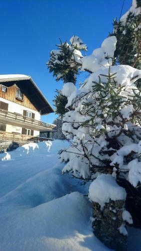 Apartamento Haus Wastl