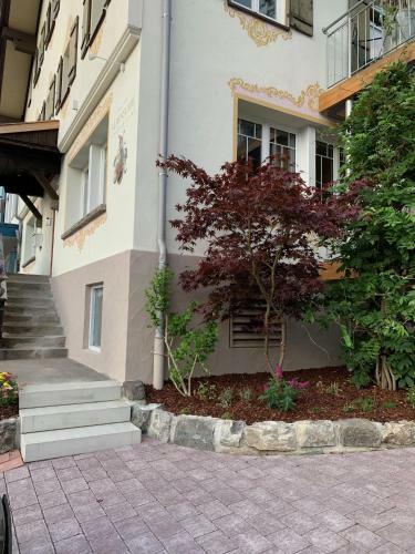 Apartamento Alpen-suite