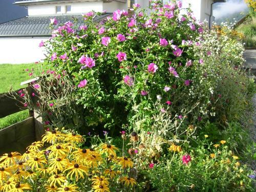 Apartamento Landhaus Penz