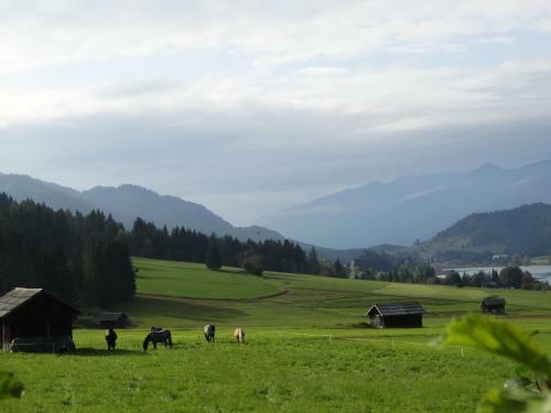 Hostal Glautschhof