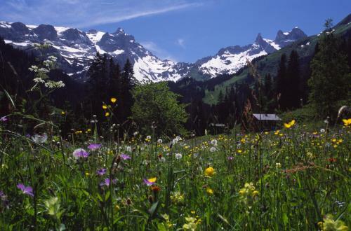 Apartamento Felbermayer Appartements