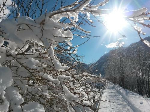Hostal Apart-pension Oberreiter