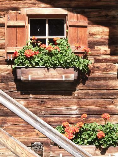 Hostal Apart-pension Oberreiter