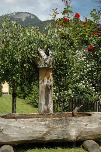 Apartamento Ferienwohnungen Fichtenheim