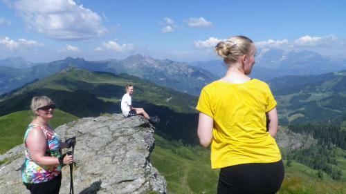 Chalet Rosenstein