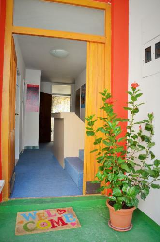 Mostar Downtown Hostel