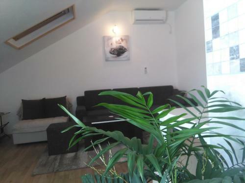 Apartment Iva