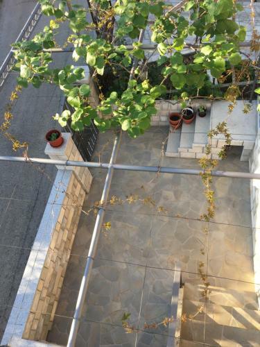 Apartment Iva