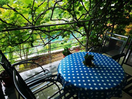 Hostal Elite Guest House