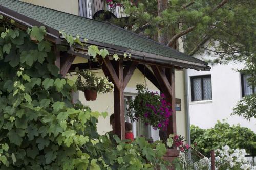 Hostal Guest House ?obi?