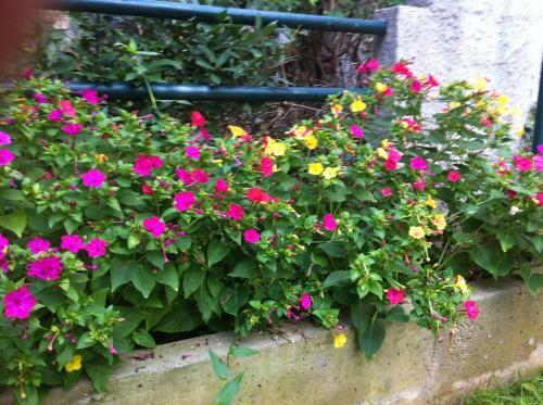 Hostal Guesthouse Liska