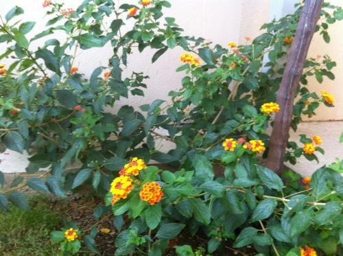 Hostal Guesthouse Liska