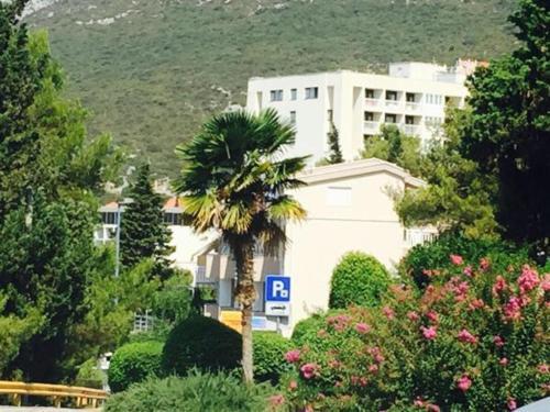 Apartment Bocca