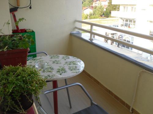 Apartment Milan