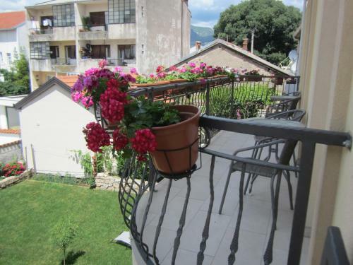 Aurelia B&B