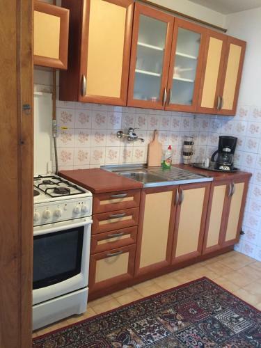 Apartamento Sarajevo Radni?ka