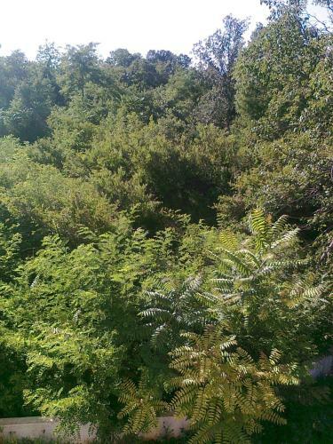 Hostal Pansion Rajic