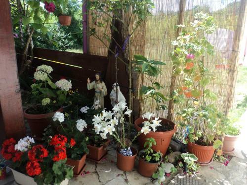 Bed & Breakfast Rooms Modana