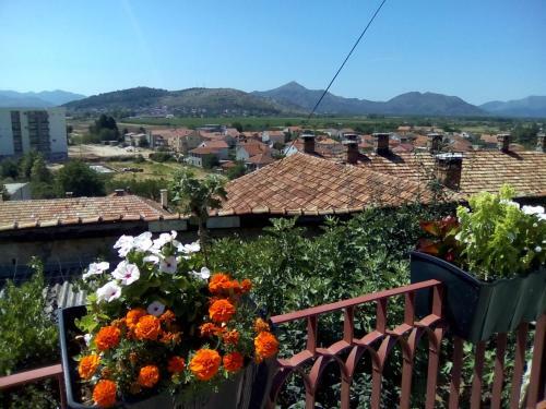 Hostal Apartman Carine
