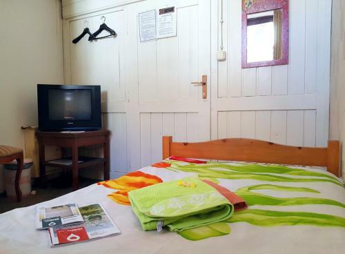 Hostel Pansion Lion