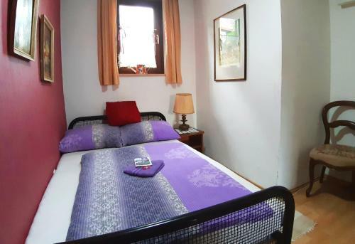 Hostel Pansion Lion