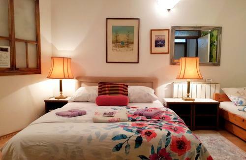 Hostel Pansion Lion