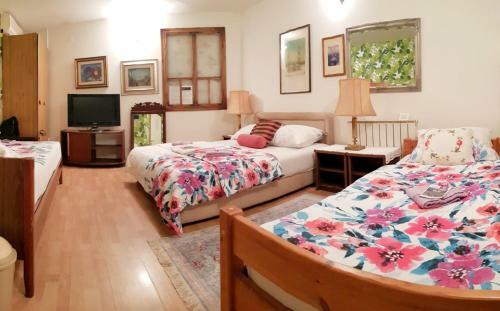 Hostel Pansion Lion
