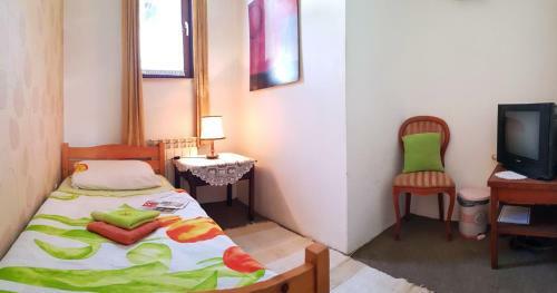 Hostel Pansion Lion