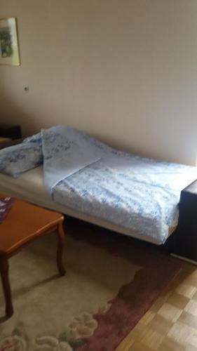 Apartment Ambrela